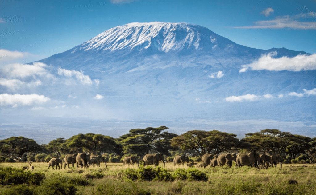 zoomafrika1's tweet photo. Tanzania has been ranked as Africa's most beautiful country, and the fourth in the world in terms of natural wonders. https://t.co/mW6Juep0Ej