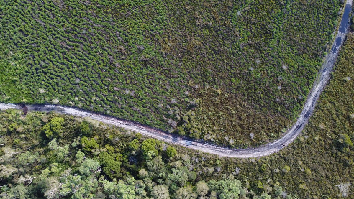 Leah Barclay tweet media