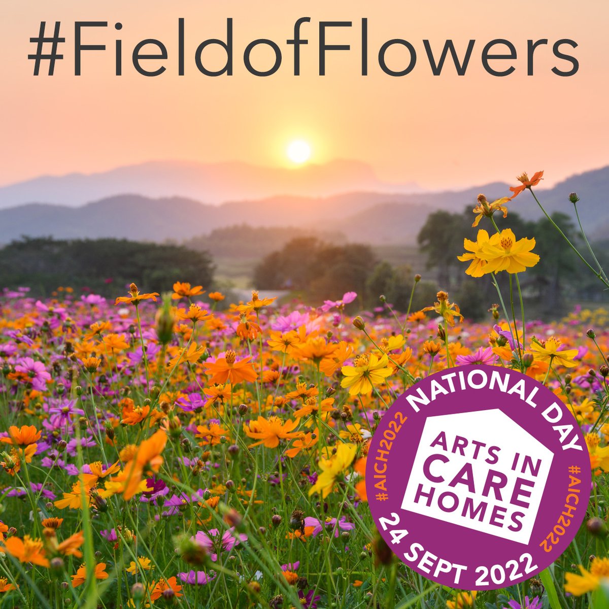 Artsincarehomes's tweet photo. Want to help @NAPAlivinglife and @DrawingLifeUK grow a #FieldofFlowers to bloom on The National Day of Arts in Care Homes #AICH2022?

Come and join us this Thursday, 1 Sept 11am, live on Facebook &amp; Youtube.

Get ideas for floral artwork and ways to involve your care settings. https://t.co/pVXeqsyj6o