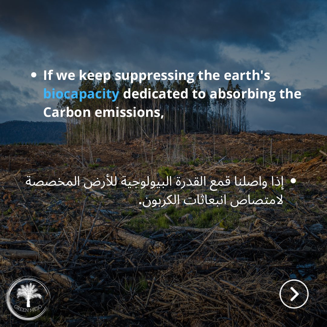 green_meso's tweet photo. 3- https://t.co/iUq51sKXKj