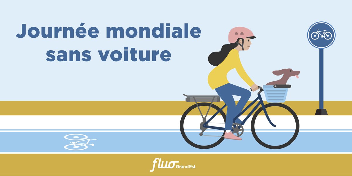 fluograndest's tweet photo. Cette journée est pour les piétons, les cyclistes et les transports en commun l'occasion de s'approprier l'espace urbain 🚲🚌 https://t.co/Ymni6n8546