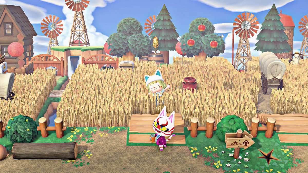 nyandaful_22's tweet photo. 麦畑🌾🌾
米じゃ���いよ麦なのだよ( ᐡᴗ ̫ ᴗᐡ) https://t.co/XemDmTKe5Q