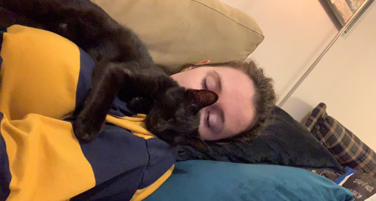 AnnaRafferty_'s tweet photo. Got some kittens. Quality of life (and naps) has improved exponentially 😻 https://t.co/uZARu0FryE