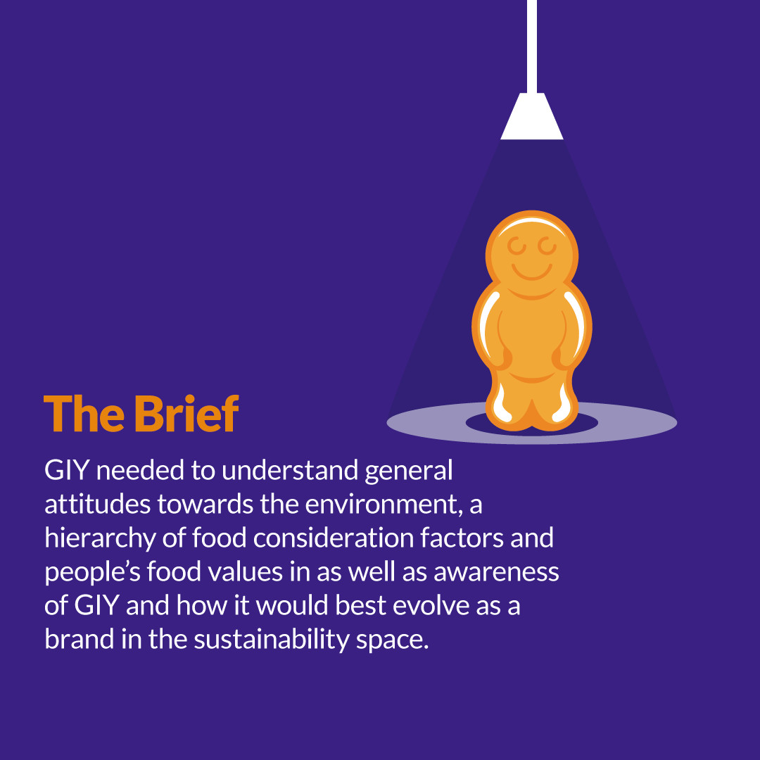 Spark Market Research tweet media