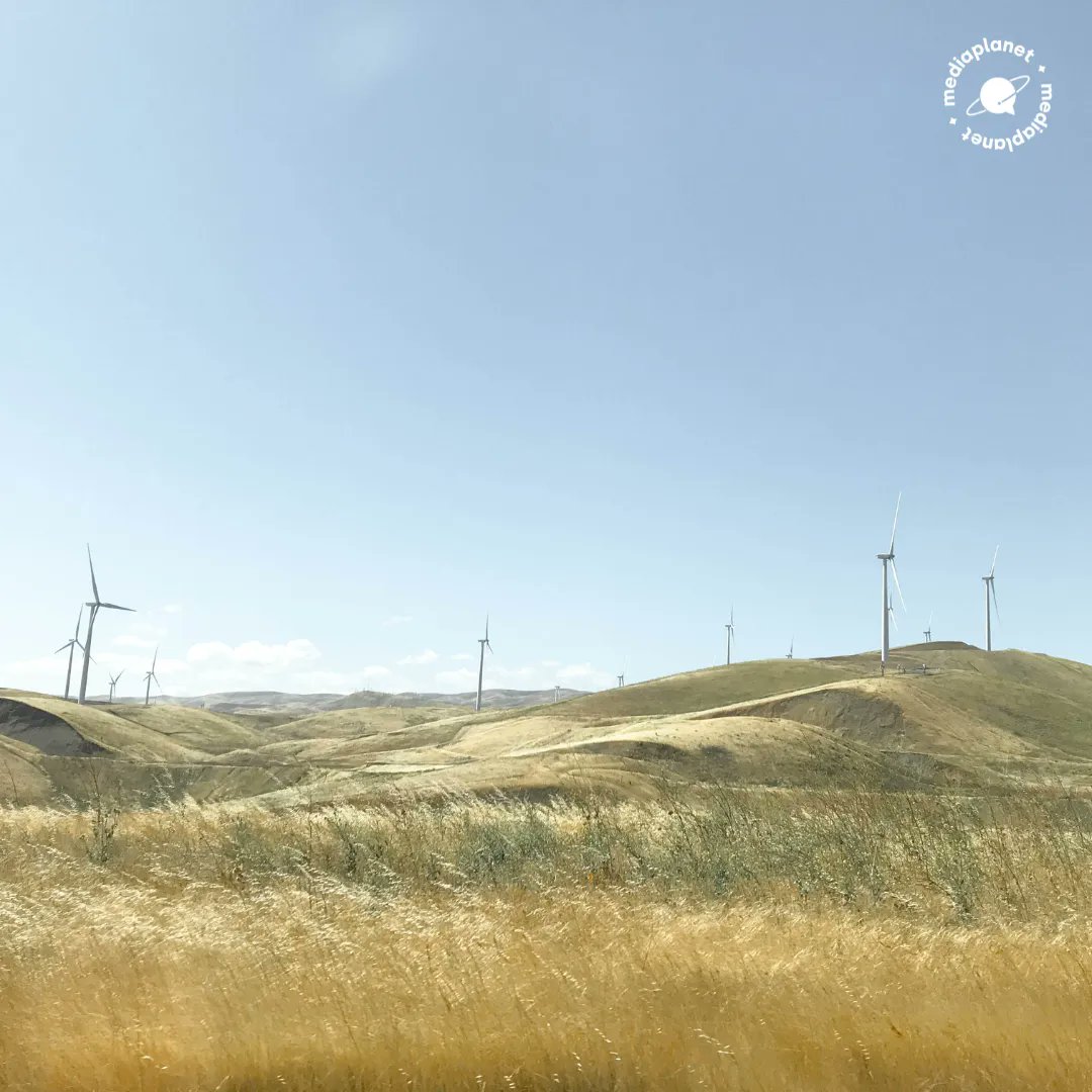 Duurzaam beleggen is allang niet meer een niche, zien Hans Kraaijeveld en Debby Broos van Nationale-Nederlanden. “We zien dat groene bedrijven het nu beter doen dan bruine.” Lees het artikel op Planet Business: buff.ly/3ST6Y9C