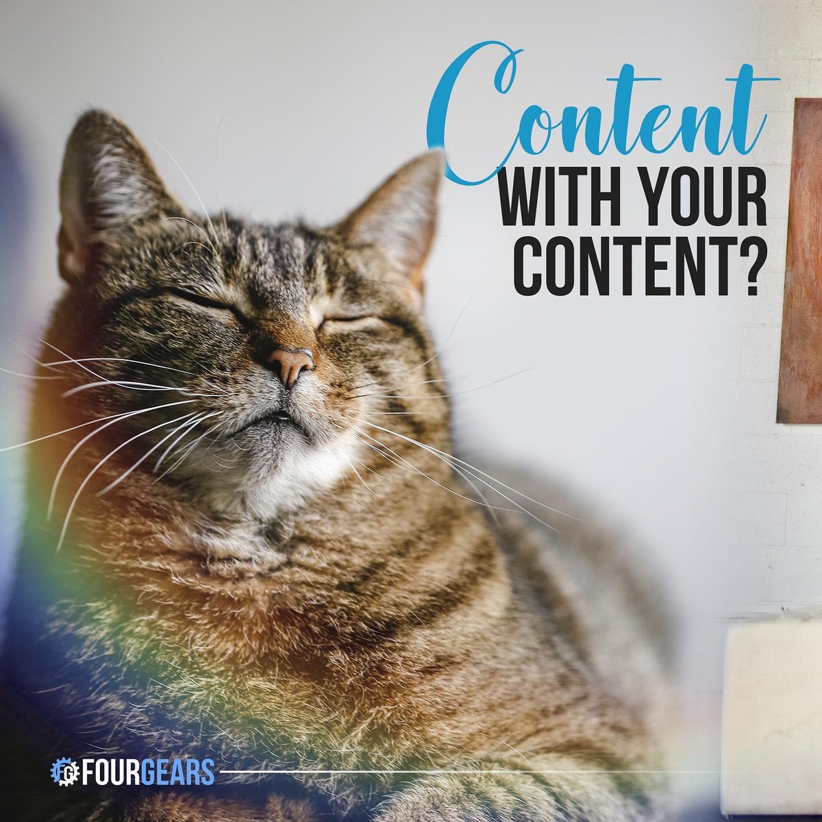 four_gears's tweet photo. Let's be honest, if you are not thinking about CONTENT you shouldn't be surprised if your marketing efforts are not not delivering the results you want or are expecting!! 🤔

Talk to us to find out how great content can elevate your business and drop us a DM or give us a call https://t.co/uezT6TgC4Z