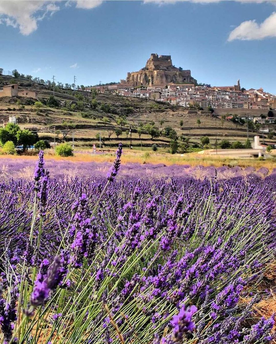 📍 Morella, Castellón 😍

Muchas gracias @roxpictures_ por la imagen

Atrévete a redescubrir España <a href="/tierra_del_sur/">KAGS</a> 👈🏽
