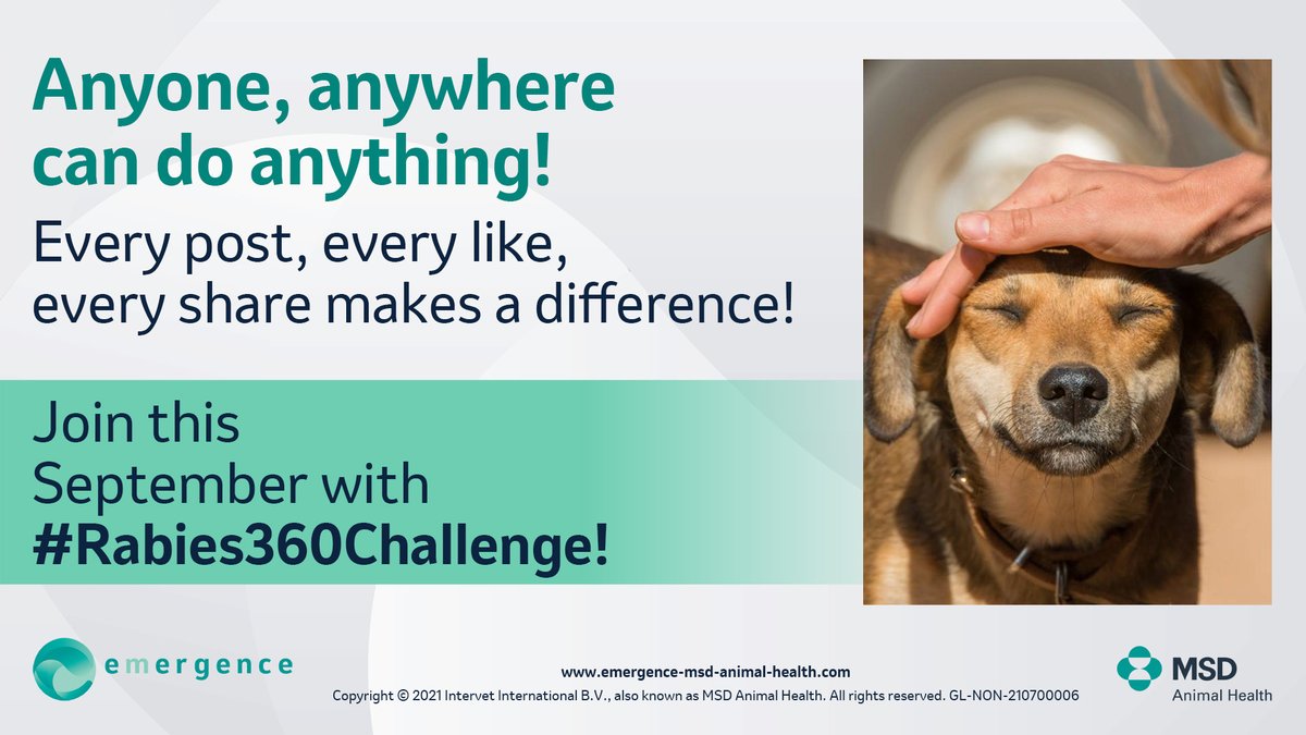emergence_MAH's tweet photo. Just two more days and the #Rabies360Challenge will begin! Are you ready? 

How will you help raise awareness and save lives from #rabies?

https://t.co/zmbCo9wThL 
#Zeroby30 #WorldRabiesDay #WRD #WRD2022 #TimesUpForRabies https://t.co/ZEaKGBHxLm