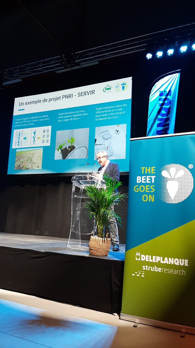 DeleplanqueCie's tweet photo. "Une 20aine d'axes de recherche, s'inscrivant dans le projet #MODEFY ou du #PNRI, complètent les travaux sur les solutions génétiques [...] Plus de 60 fermes pilotes déploient en conditions réelles de culture les solutions envisagées." Vincent Laudinat, Dir. général @ITBetterave https://t.co/GKzTdi70WF