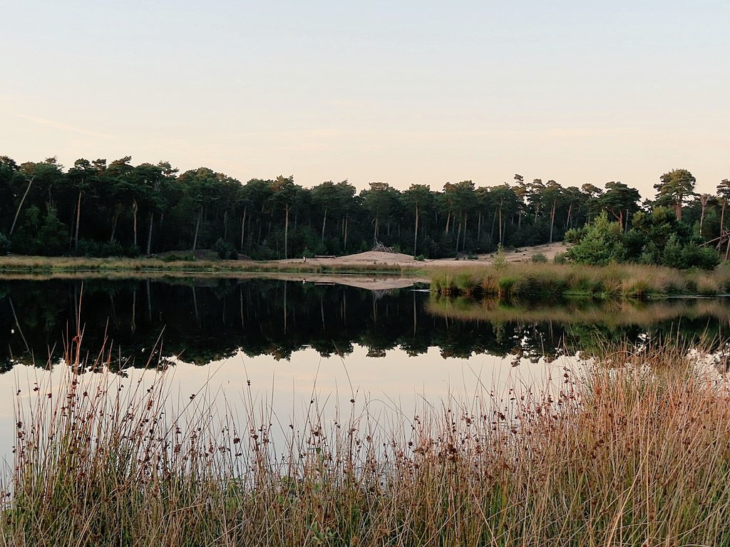 iet1234's tweet photo. Evening colors on #deKampina #ThePhotoHour #heatherfields
Have a good Tuesday twitter 🌍 https://t.co/BWiaKLdxbx