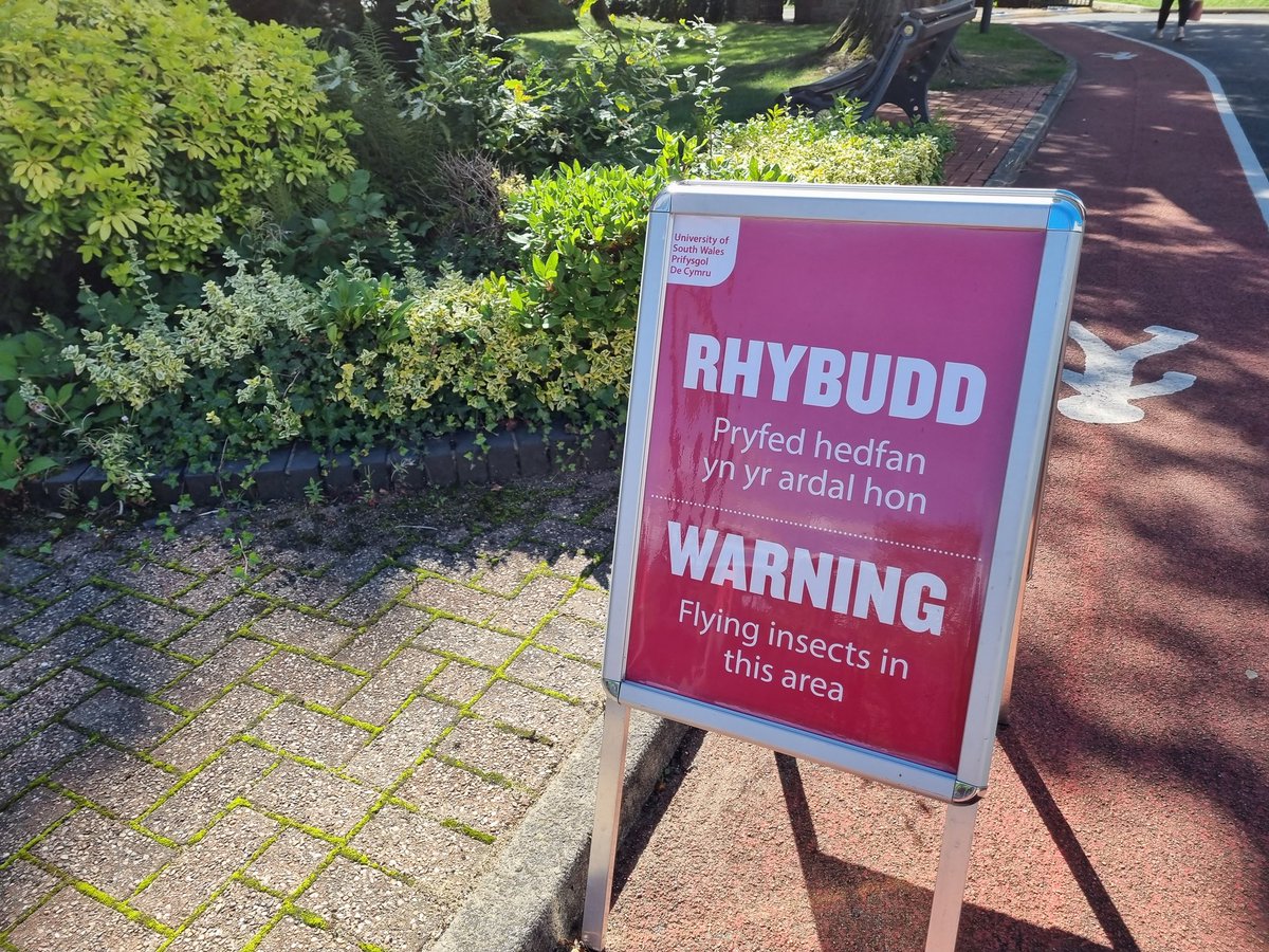 This has got to be one of the funniest signs I've ever seen. Flying insects??? Outside?!?