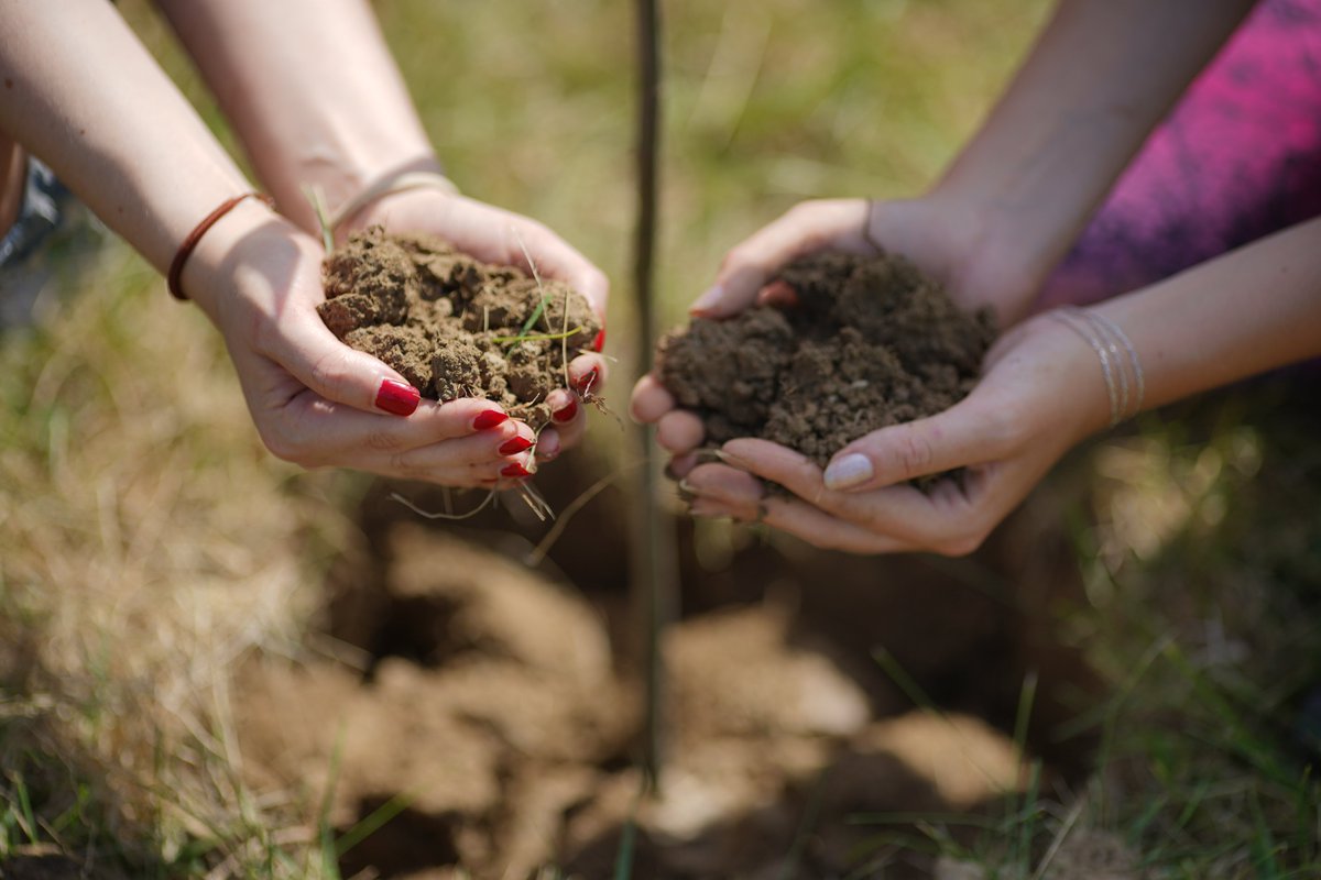UNDPBiH's tweet photo. We are inviting interested #CSOs dealing with #youthactivism, #ecology, #environmentalprotection etc. to Info days for #publiccall of the Strengthening the Green Network project! 🌿
More info on ➡️ https://t.co/uisIk6l6T1
#zelenamreza #LetitBiH #undpbih
@italyinbih https://t.co/apHXQZcKQn