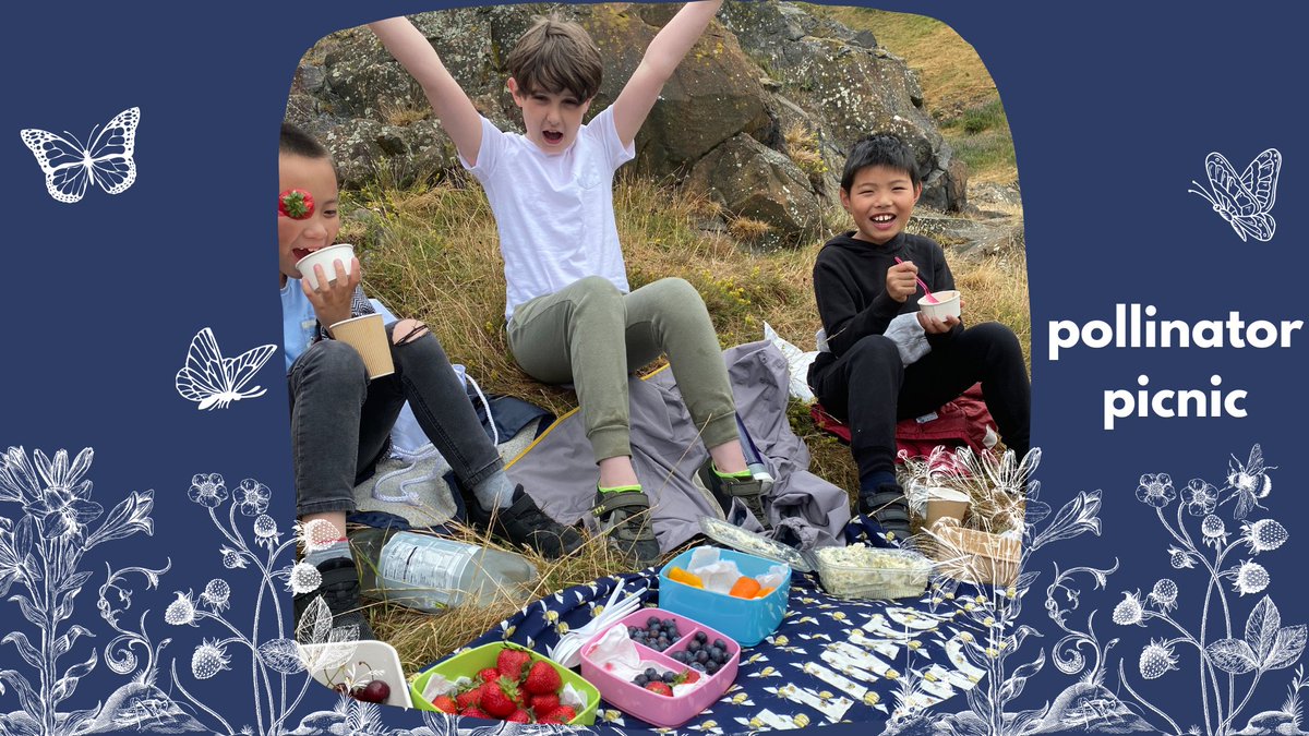 New event! Come along to the Pollinator Picnic on the farm this Thursday 4:30-6pm. All foods provided thanks to pollinators (and Natalie Taylor <a href="/northedinarts/">North Edinburgh Arts</a>).
#Edinburgh #Pollinators #FamilyEvent #FreeEvent #NorthEdinburgh