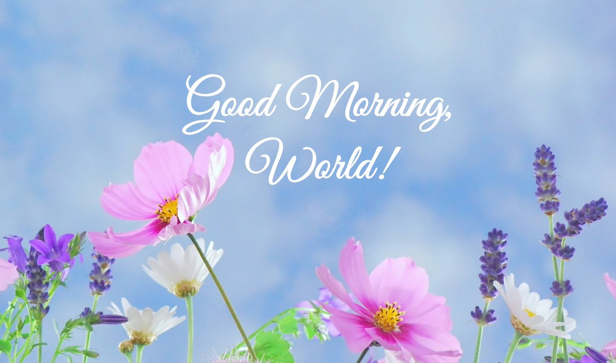 ImSensuali's tweet photo. #GoodMorning, World! may you all have a nice Tuesday!
I'll be back later, now just greeting 😊. https://t.co/ZeLzYdAFjb