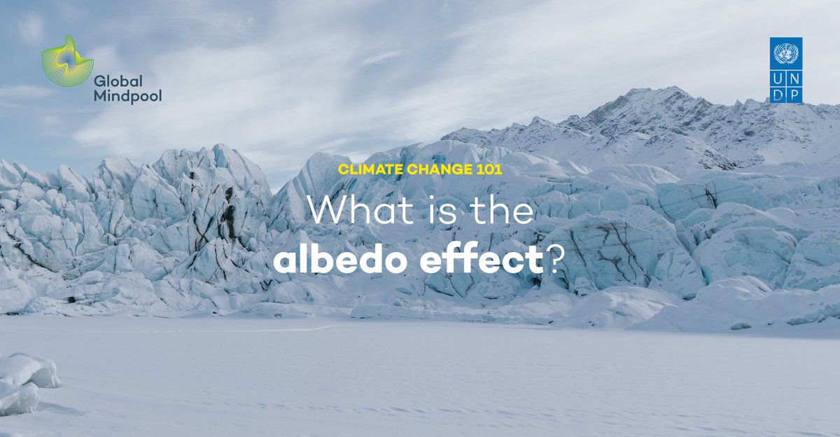 Global Mindpool tweet media