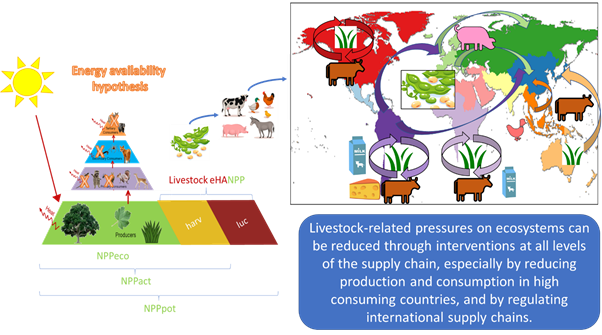 Nicolas43513211's tweet photo. 1/n paper alert: a new perspective on #feed and #livestock and its pressure on ecosystems. https://t.co/Juvc9kEwgD A call to move from #consumption to supply chain accounting and narratives. Because reducing the quantity of #animal products is not barely a “#demand side measure” https://t.co/97wEpUv6OO