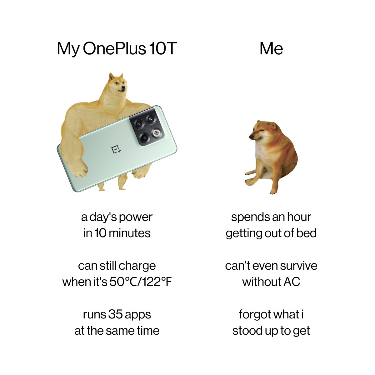 OnePlus tweet media