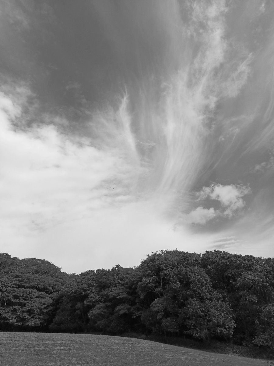ZzrPhil's tweet photo. And a surprisingly lovely walk (inland) near Scorrier over the BH weekend too! #Cornwall #Countryside #nature #clouds https://t.co/Uc70hAm35i