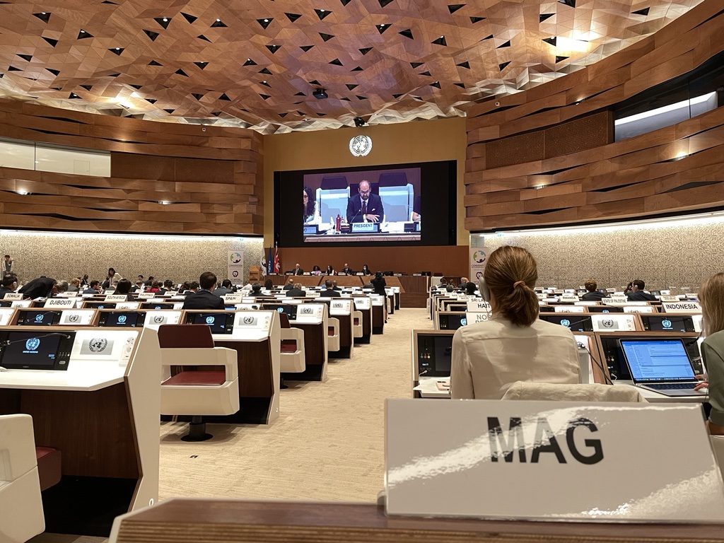 MAGsaveslives's tweet photo. This week, a MAG delegation is attending the 10th Meeting of States Parties to the Convention on Cluster Munitions – a convention that bans the use, transfer, and stockpiling of #clustermunitions. We are looking forward to a productive week of meetings! #CCM #10MSP https://t.co/54wMCfpCy0