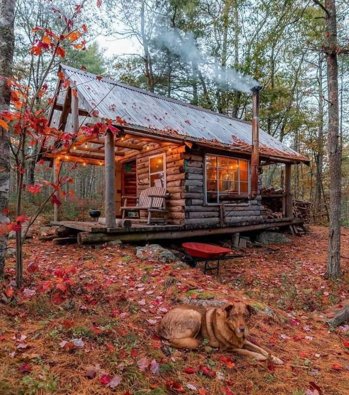 imagine drinking coffee on the front porch early in the morning