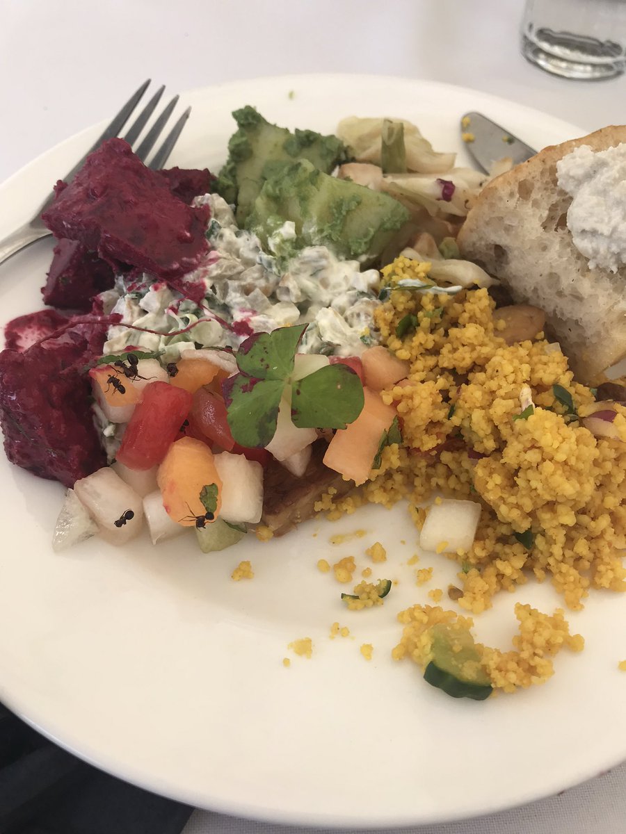 mspeltonen's tweet photo. Uudistetun Metsähovin tutkimusaseman avajaisissa oli mielenkiintoista ja herkullista syötävää. Muurahaiset oli ihan tarkoituksella annoksessa, kirpsakalta maistuivat. Jälkiruuassa haudutettuja käpyjä @fgi_nls @mmm_fi #lähiruokaa #villiruoka kokkina @jyrki_tsutsunen https://t.co/TAvvTdVNGT