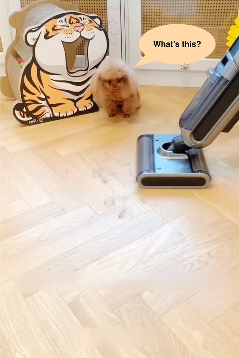 UWANT_global's tweet photo. Curious puppy😼 https://t.co/1fEauoxrEh