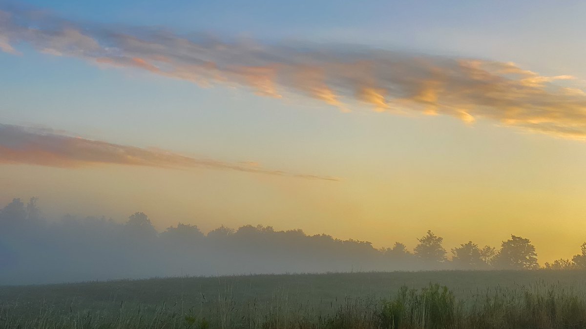 vineyardwarrior's tweet photo. GM Friends 🌅 Another hazy foggy morning here. Have a wonderful day! #beautifulmorning #drive2work #fingerlakes #fog #goodmorning #landscapephotography #NaturePhotography #photography #sunrise https://t.co/i4qXkFa4ee