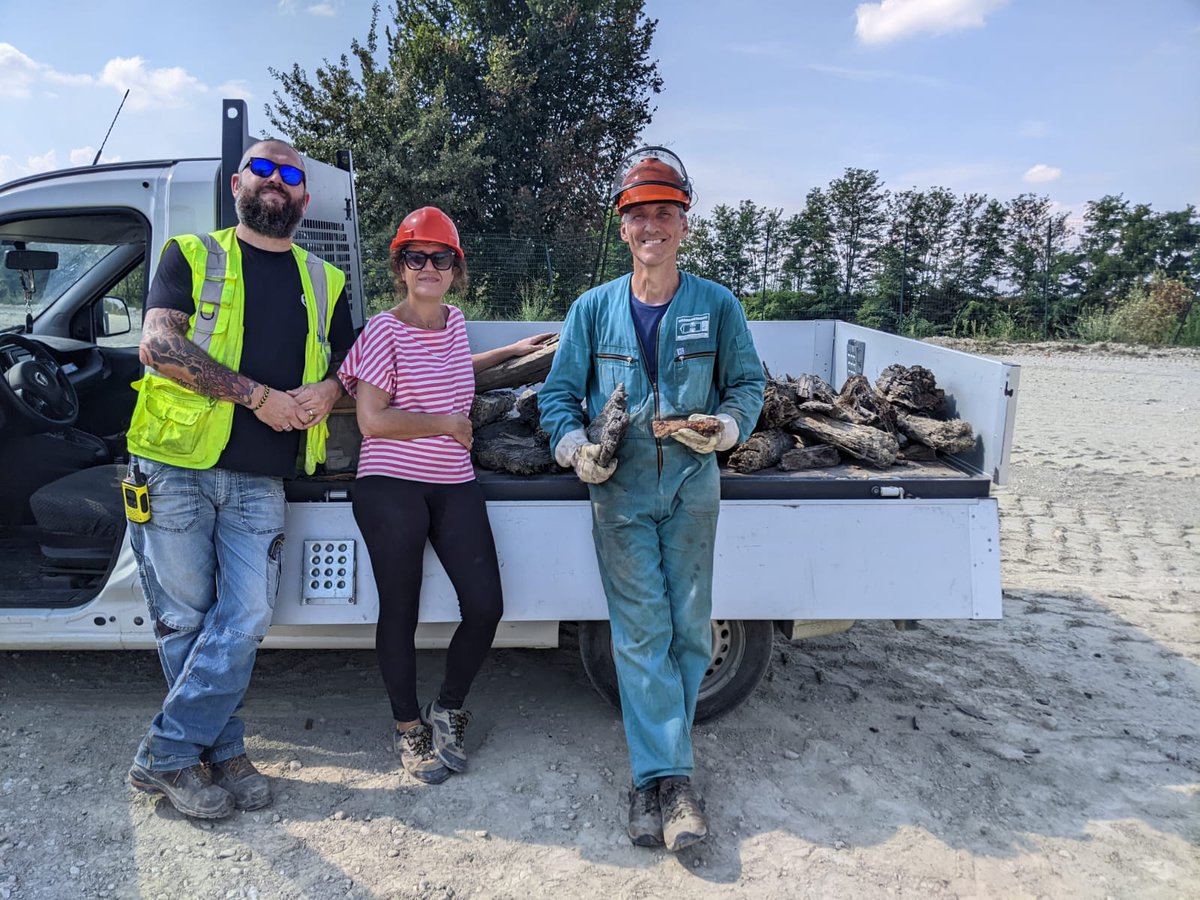 ERC_RESOLUTION's tweet photo. Back to fieldwork in Italy, searching for fossil trees. So far ~50 samples 💪💪💪🍀🍀🍀🍀🤞🤞🤞🤞 Follow us @Ciamician_unibo @ERC_Research @CORDIS_EU #radiocarbon #IntCal #CalibrationCurve https://t.co/qlUXmIx6qF