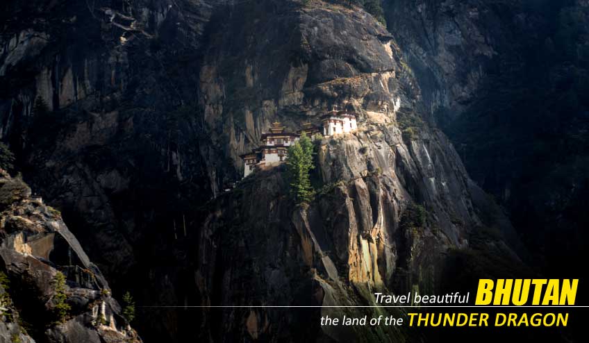 nature_wings's tweet photo. #Mumbai  #bhutan  #tour Packages #flickr https://t.co/BJfA6fybUC https://t.co/F7FuxqwYZ9