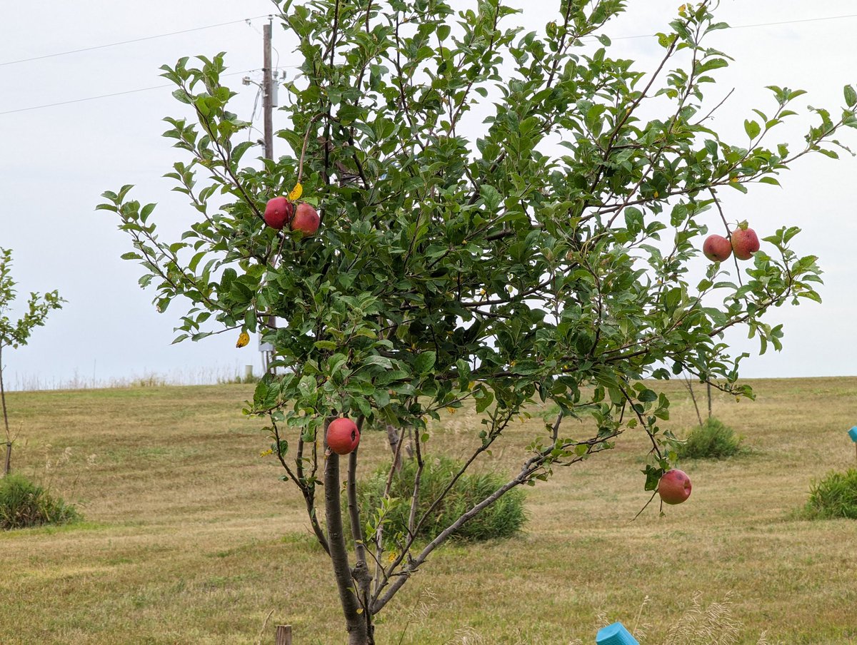 DocBohn's tweet image. Good morning