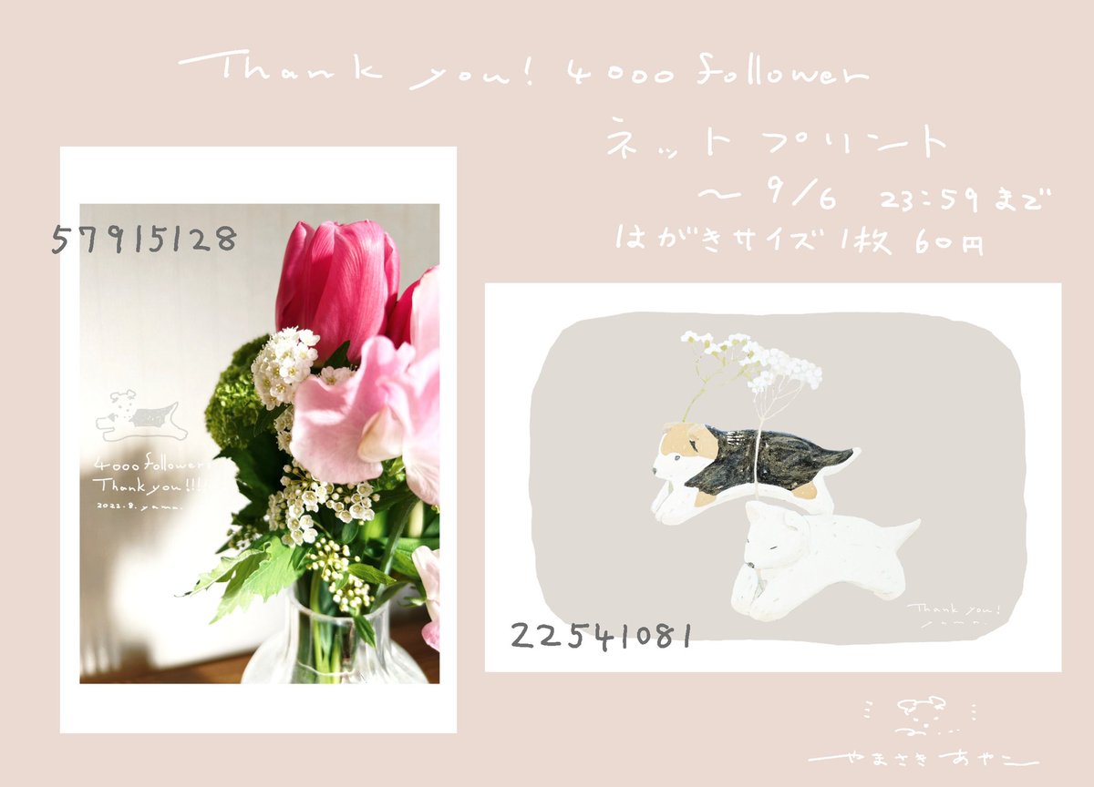 no humans flower bouquet pink flower white flower animal dated  illustration images