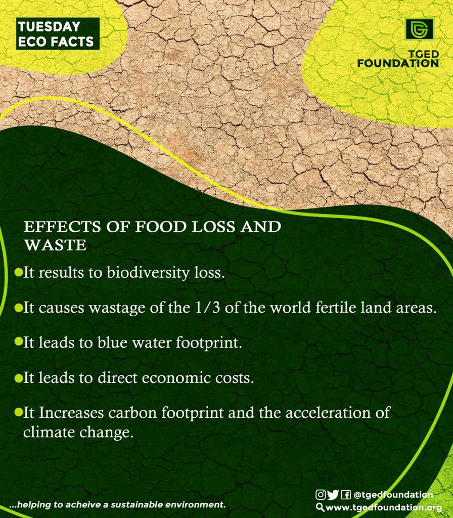 tgedfoundation's tweet photo. Food waste is an increasingly aggravating problem of modern society due to its many environmental, economic, and even social effects.

#foodlossbusters #foodlossrecipes #foodlossesandwaste #foodlosswaste #foodlossreduction #foodlosses #foodlossawarenessweek #foodlossprevention https://t.co/EJeq8nzROl