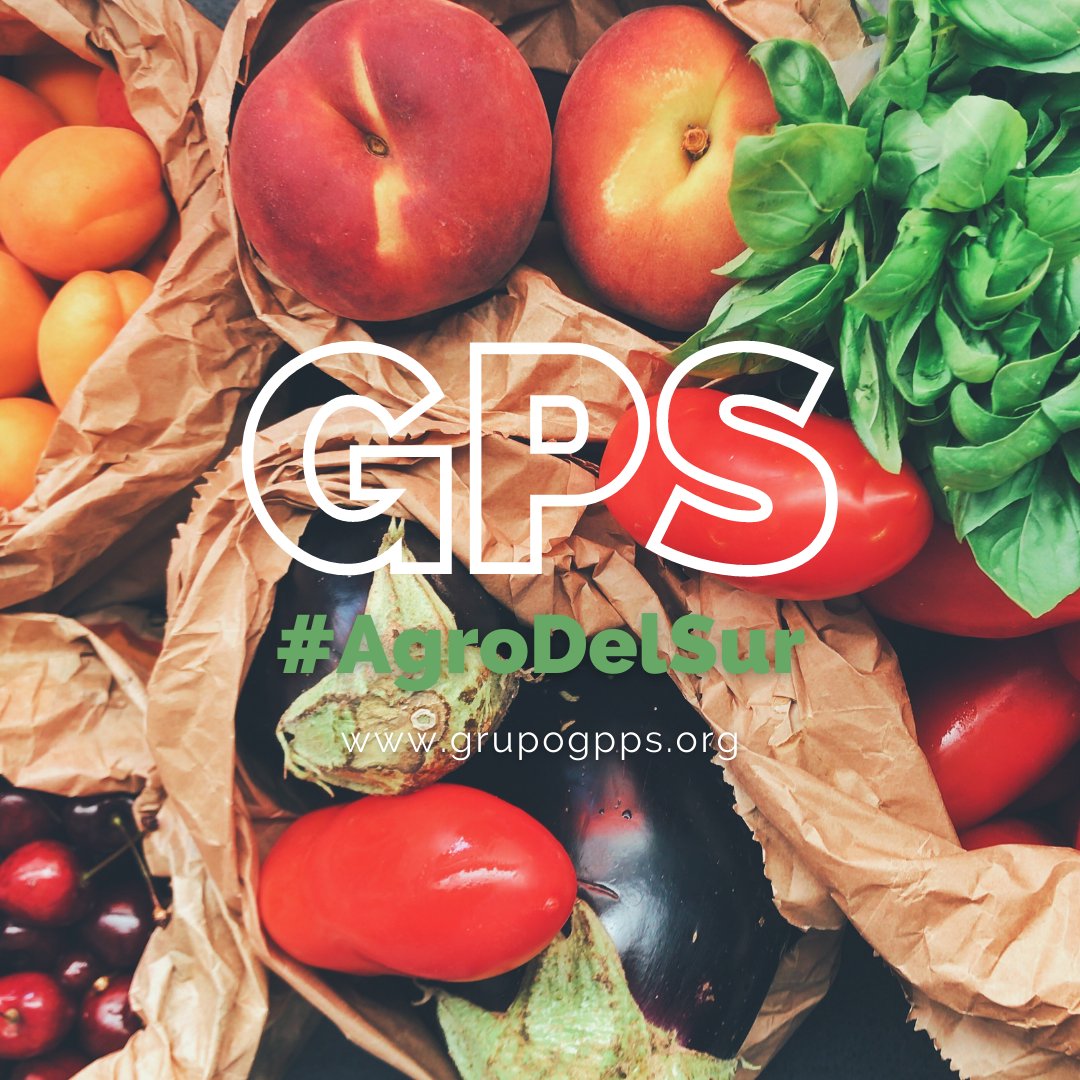 GPSLatinAmerica's tweet photo. 🫐🍎🥝🍅🥑
#AgroDelSur #Exportaciones #ComercioExterior #GanaderíaResponsable #BuenasPrácticas #BPA #Agro #Agronegocio #Agroindustria #Agropecuario #Agricultura #SeguridadAlimentaria #InocuidadAlimentaria #ConoSur #Argentina #Brasil #Paraguay #Uruguay #abpu https://t.co/amoZx5CJao