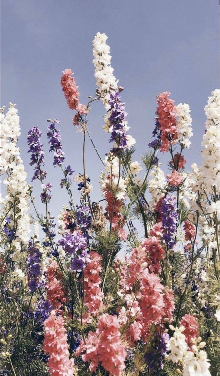 FLOWERY tweet media