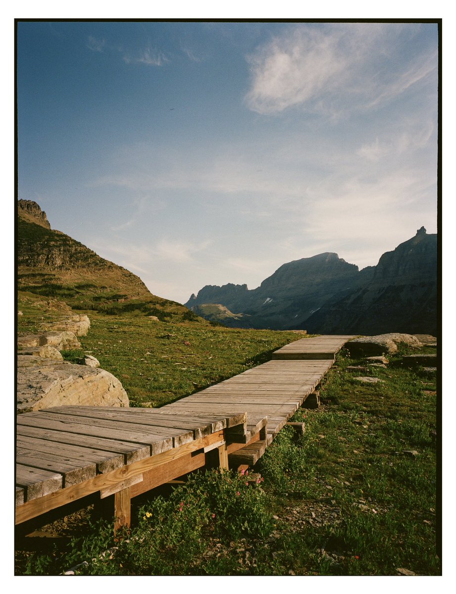 jake tovar tweet media