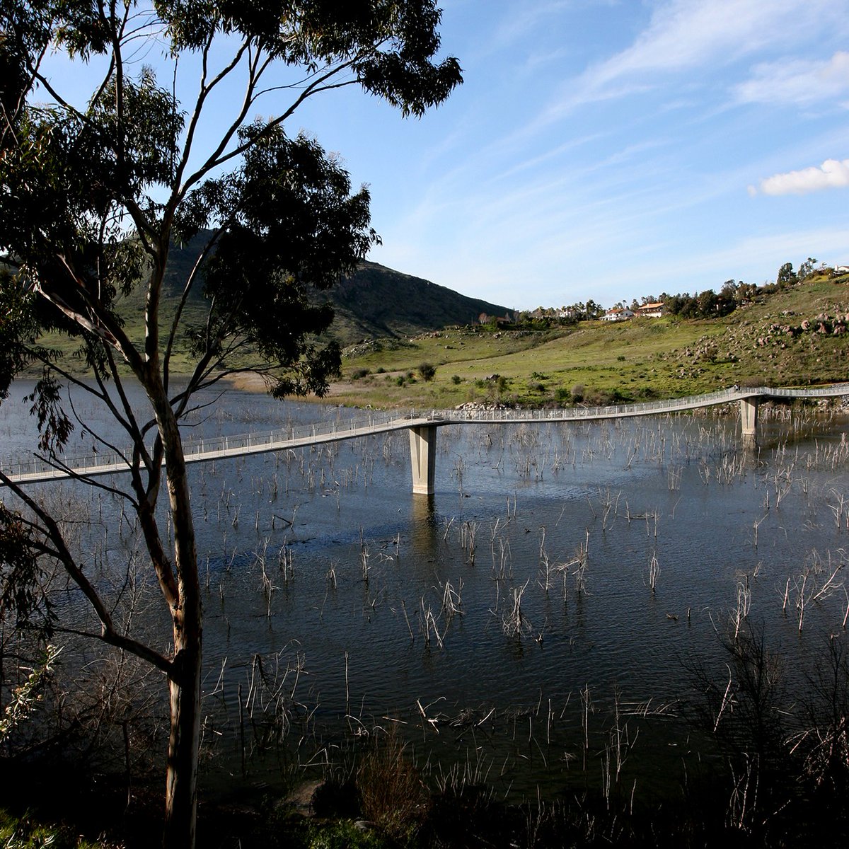 Gracefully spanning #LakeHodges, this pedestrian crossing is the worlds longest #StressRibbonBridge at 990 feet.

#SRAbridges #bridgedesign #pedestrianbridge #naturebridge #hikesd
