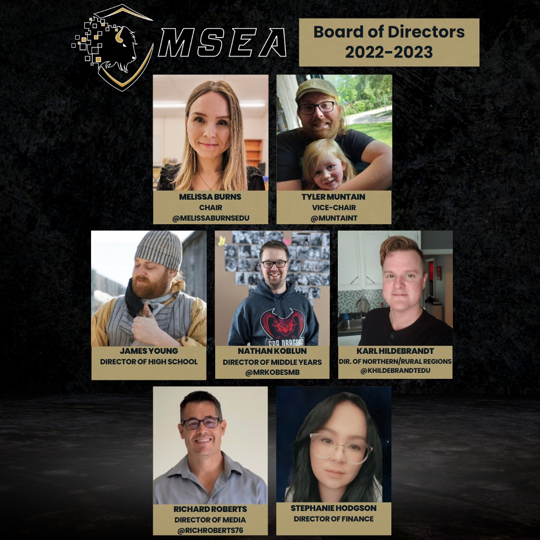 Manitoba School Esports Association tweet media