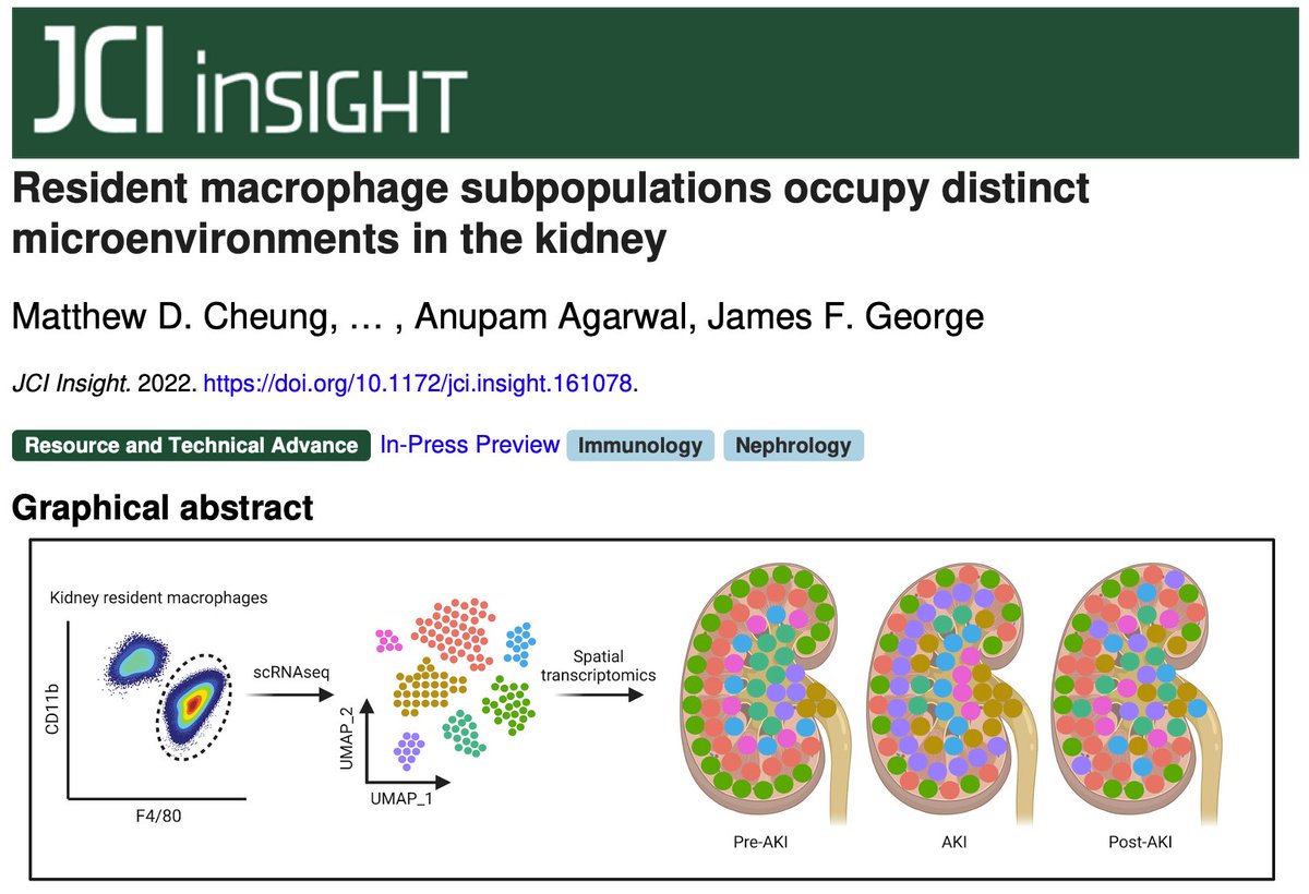 Matthew Cheung tweet media