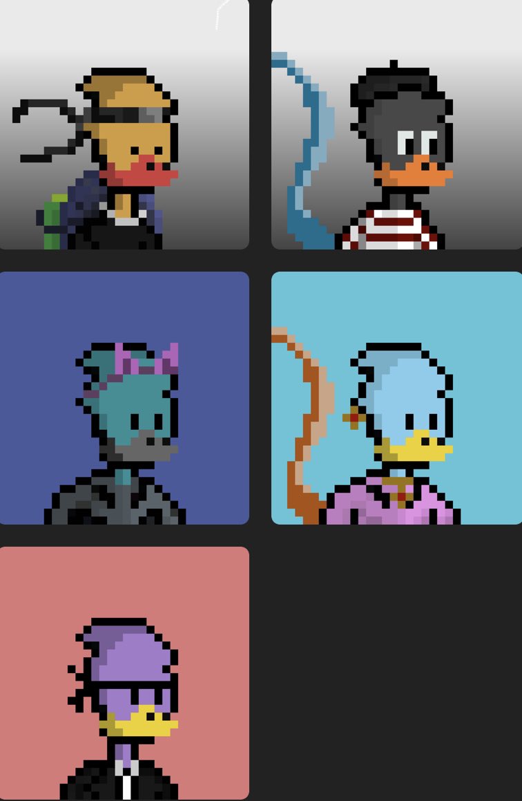Quek quek squad @cryptoduckpunkz 🦆