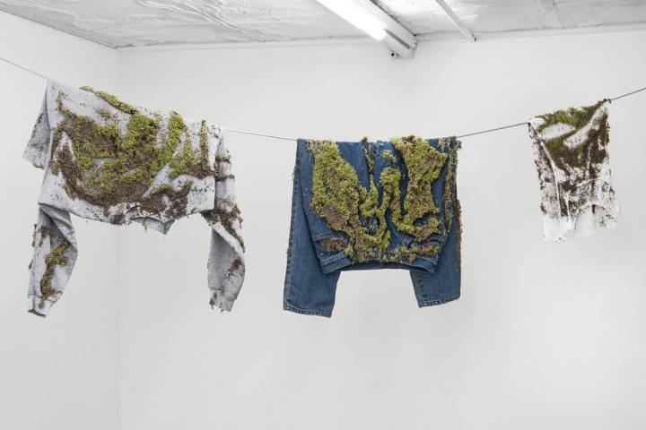 Ton_i_Vila's tweet photo. Nou curs i nous projectes que ompliran les programacions de primària d'Art contemporani i de #donesartistes
🎼Oh benvingudes passeu passeu 🎼Mona Hatoum, Lita Cabellut, Yvonne Rainer i Bea Fremderman
#artperpensar #artpertransformar #artpercompartir https://t.co/KcsTzgOrGM