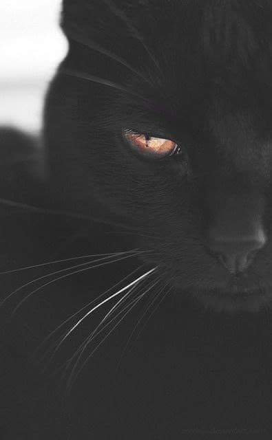 claudiaa_058's tweet photo. #QuartaResgateSDV
#QuartaVanGuardaSDV https://t.co/v1jBUzIzBd