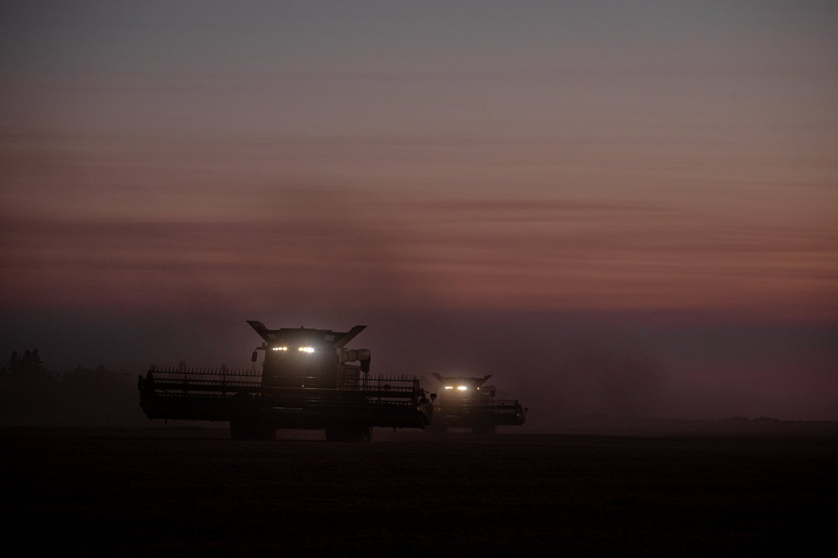 LindgrenSeeds's tweet photo. Combines are rolling 🚜

#HarvestTimeIsTheBestTime
#Harvest22  #AgTwitter  #Harvest https://t.co/Ig1J8ukTSJ