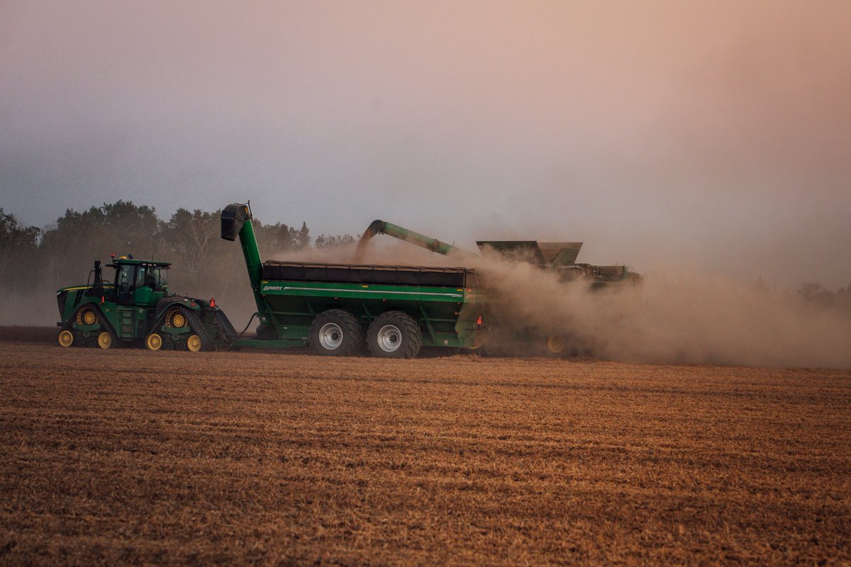 LindgrenSeeds's tweet photo. Combines are rolling 🚜

#HarvestTimeIsTheBestTime
#Harvest22  #AgTwitter  #Harvest https://t.co/Ig1J8ukTSJ