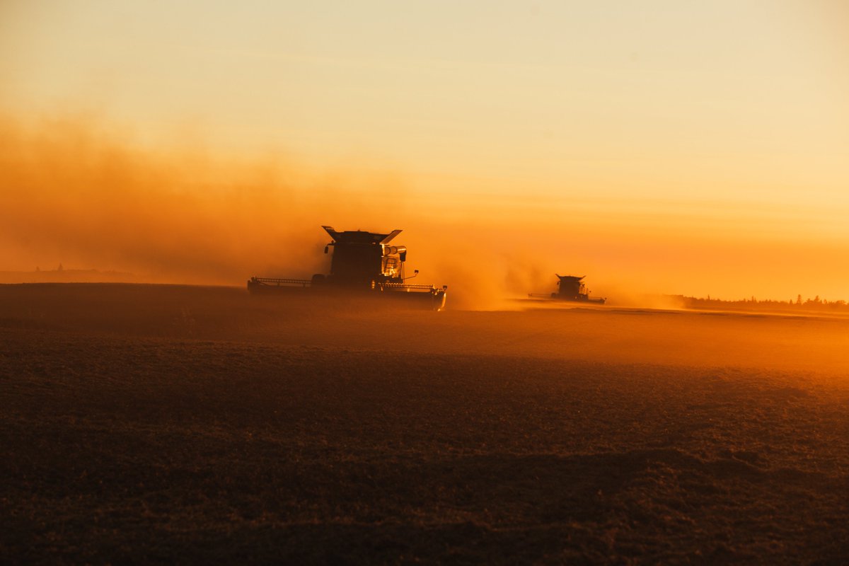 LindgrenSeeds's tweet photo. Combines are rolling 🚜

#HarvestTimeIsTheBestTime
#Harvest22  #AgTwitter  #Harvest https://t.co/Ig1J8ukTSJ