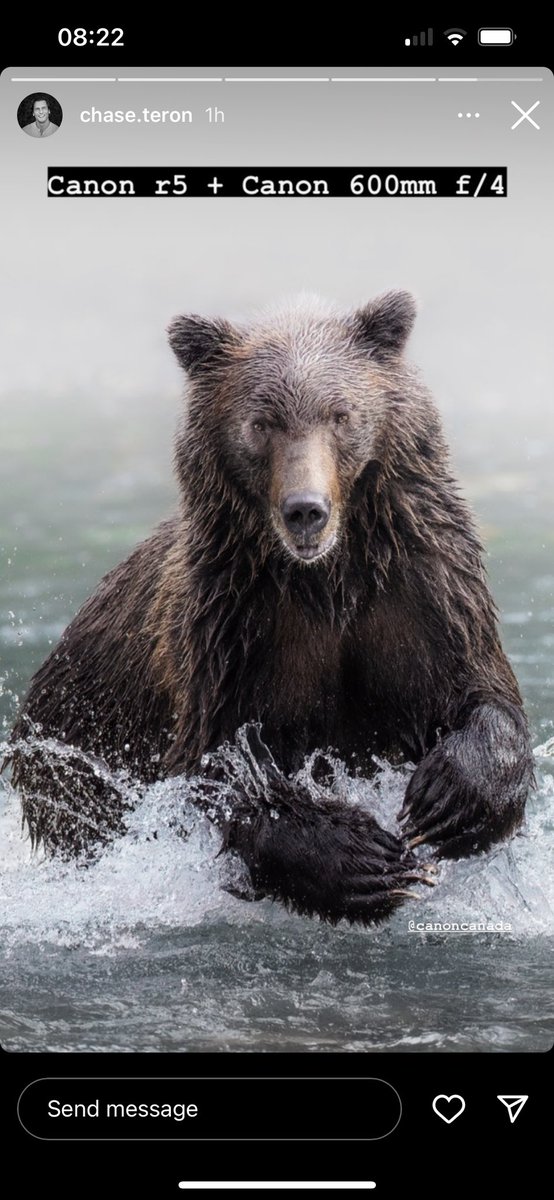 KlahooseResort's tweet photo. Day 1 of our photography tour 🐻
📷 @Chase_Teron
#klahooseresort #bearviewingbc #grizzlybear #canonphotography https://t.co/A9w1gC1tBl