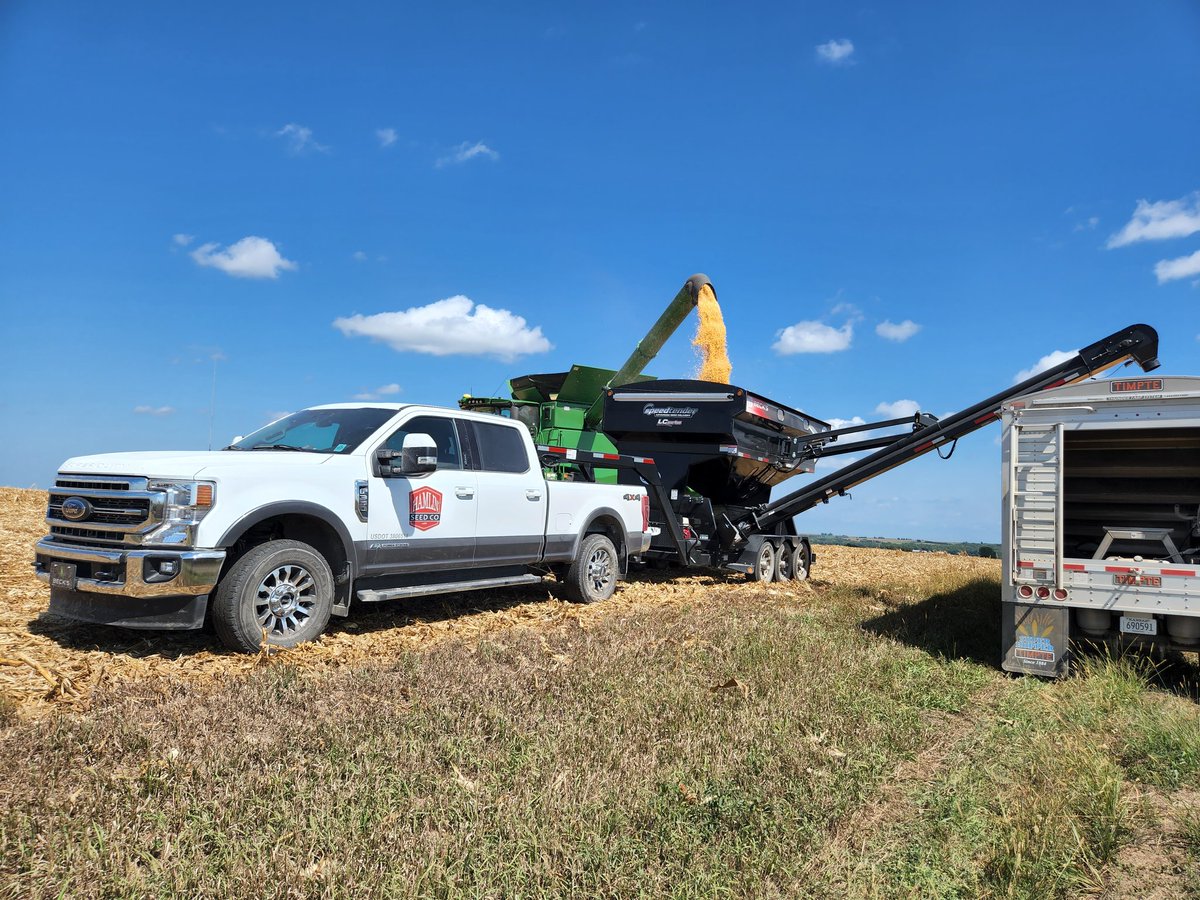ben_swinger's tweet photo. Taking out our first corn plot of the year today! Almost as exciting as Christmas morning. https://t.co/vbSlw2h967