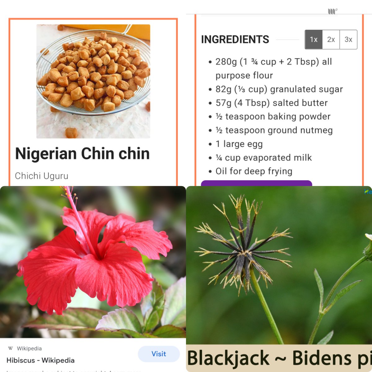 If you ever go to Cape Town,  you MUST visit Tapi Tapi ice cream shop in Obseratory

This man is an African God

Making ice cream from

Blackjack and caramel
Pumpkin &amp; egusi (melon seed)
Prekese pods and kei apples

Everything he makes is unbelievably delicious

A genius