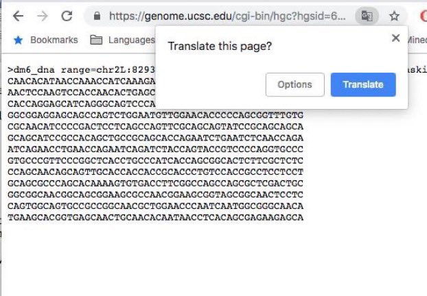 Ribosome4VP's tweet photo. Ribosomes be like: https://t.co/06LbKuLBVv