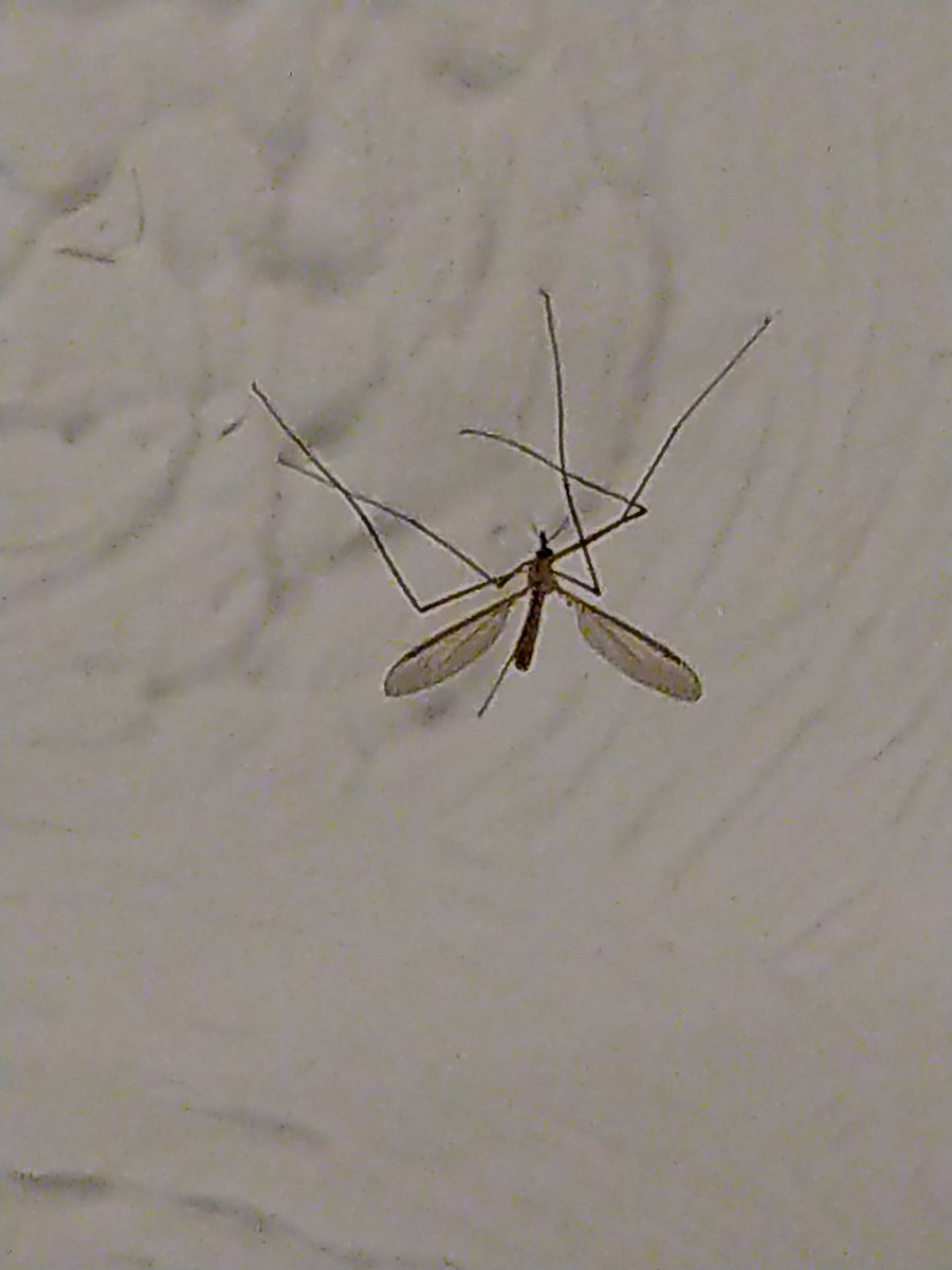 Andy Miller (Andyflyfisher) tweet media