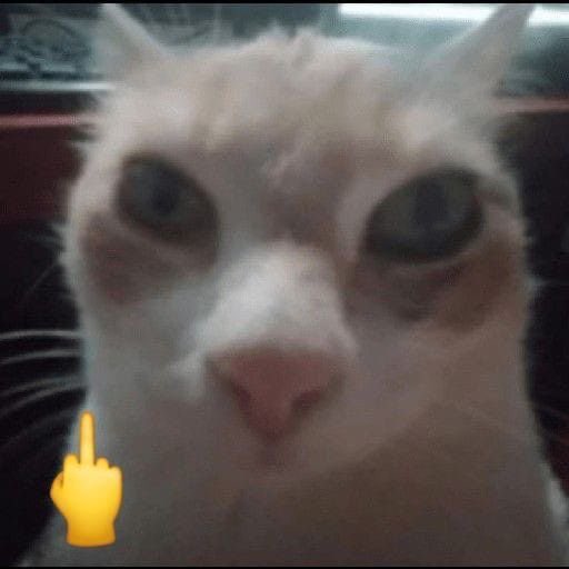 𝐜𝐡𝐞𝐥𝐥. 🏳️‍⚧️ (@xtoostubborn) on Twitter photo 